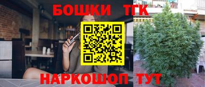 spice Можга